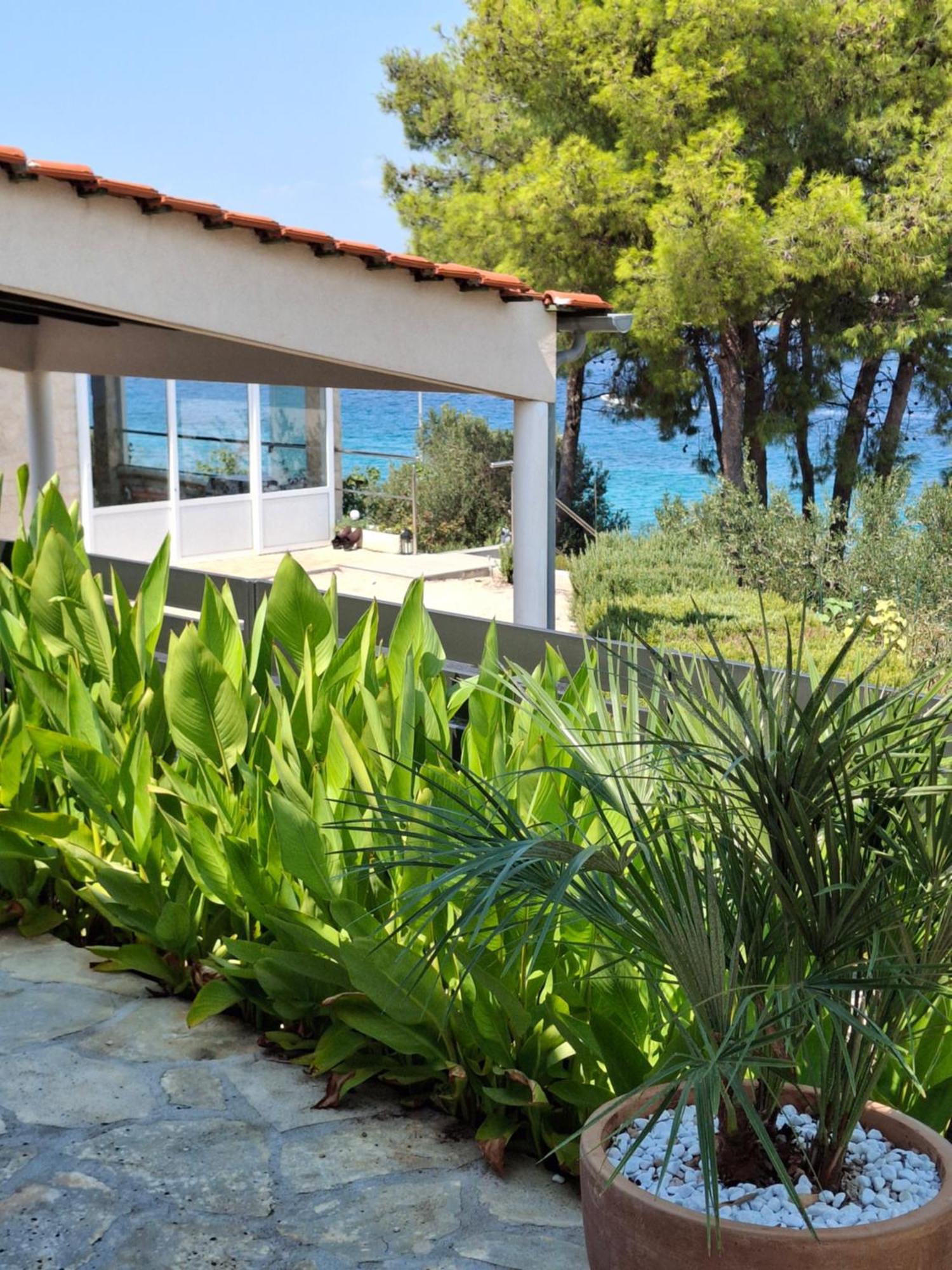 Villa Gjardini - Sparadici Grebaštica Buitenkant foto
